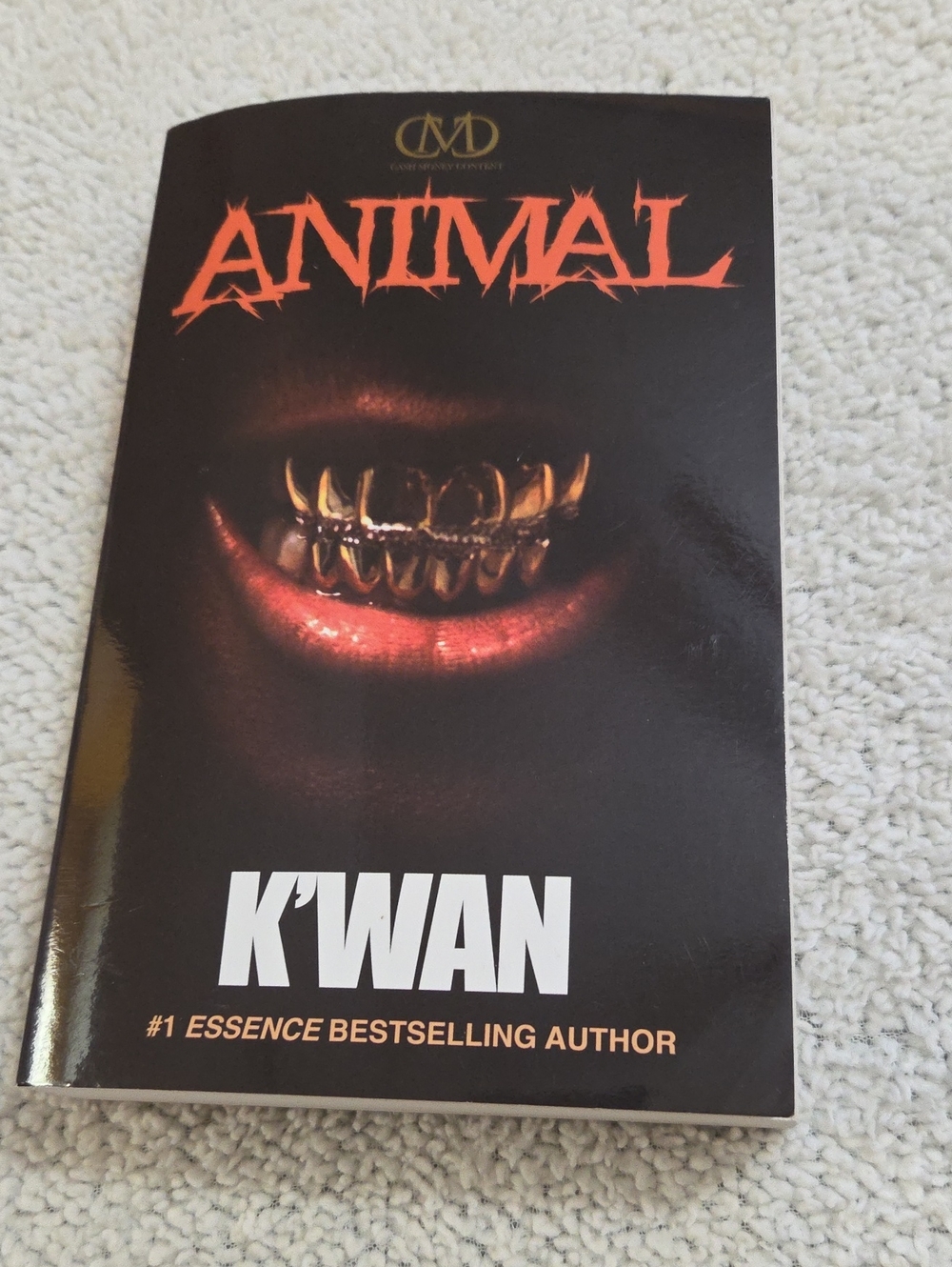 ANIMAL PAPERBOOK